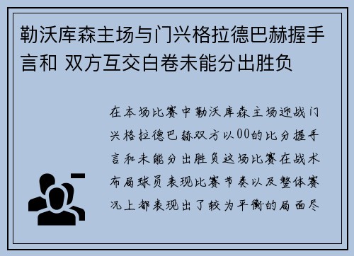 勒沃库森主场与门兴格拉德巴赫握手言和 双方互交白卷未能分出胜负